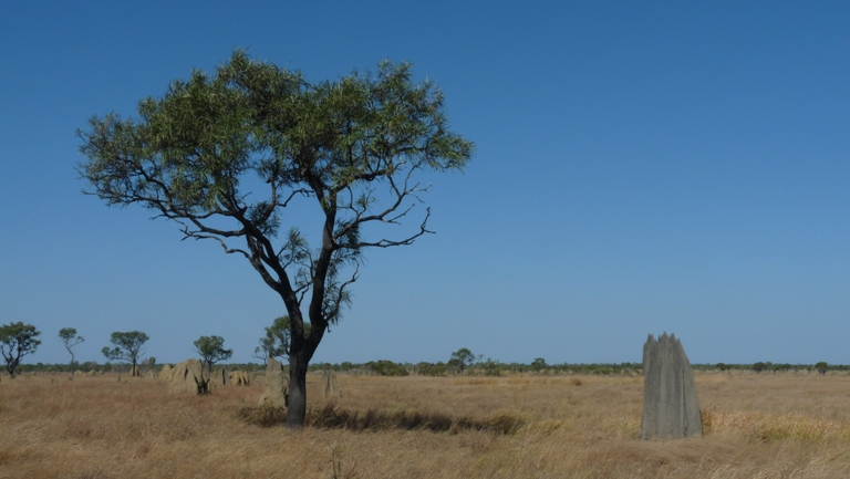 Landschaft in den Nifold Plains